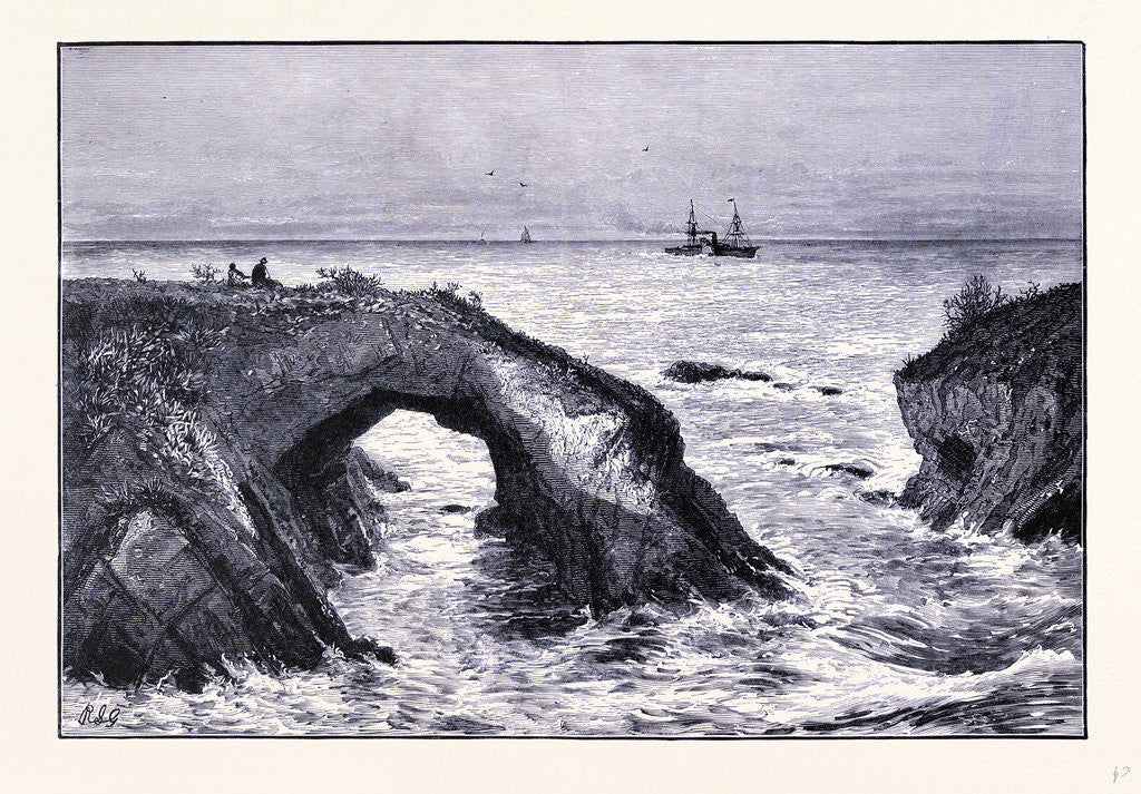 Detail of Coast of Mendocino by Anonymous