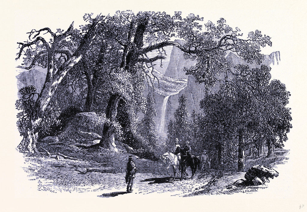 Detail of Bridal Veil Falls by Anonymous