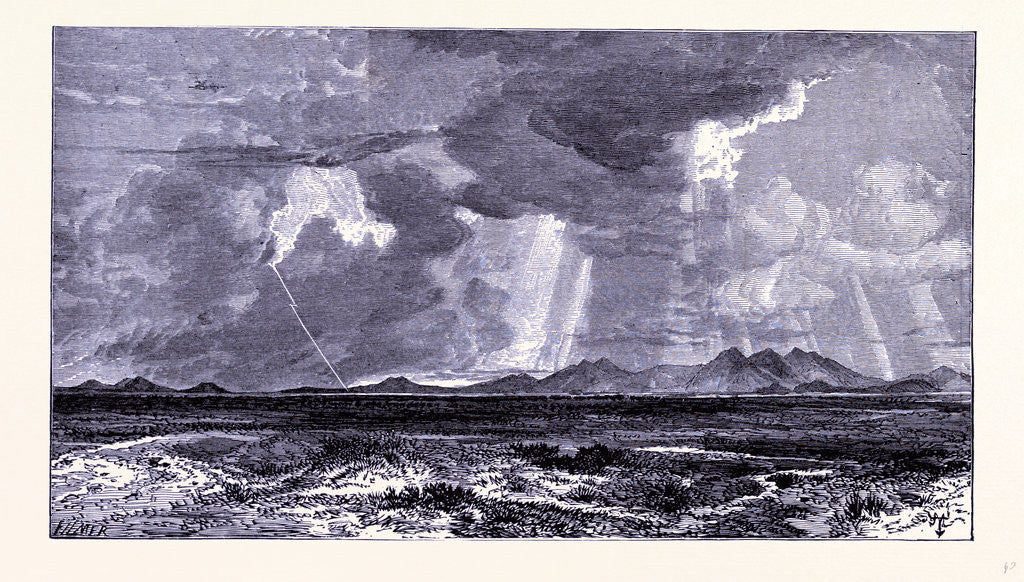 Detail of Humboldt Plains by Anonymous