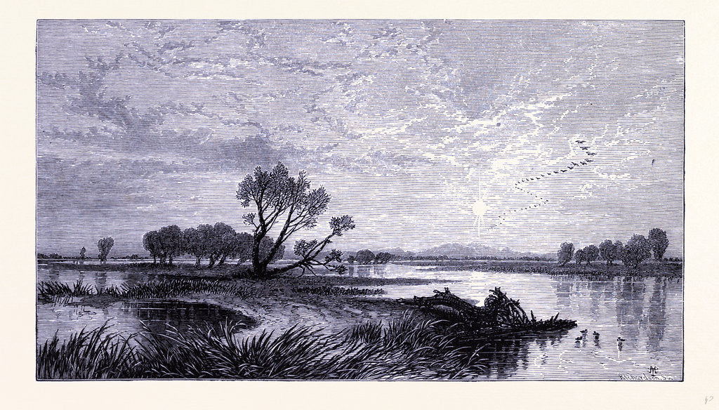 Detail of San Joaquin River by Anonymous