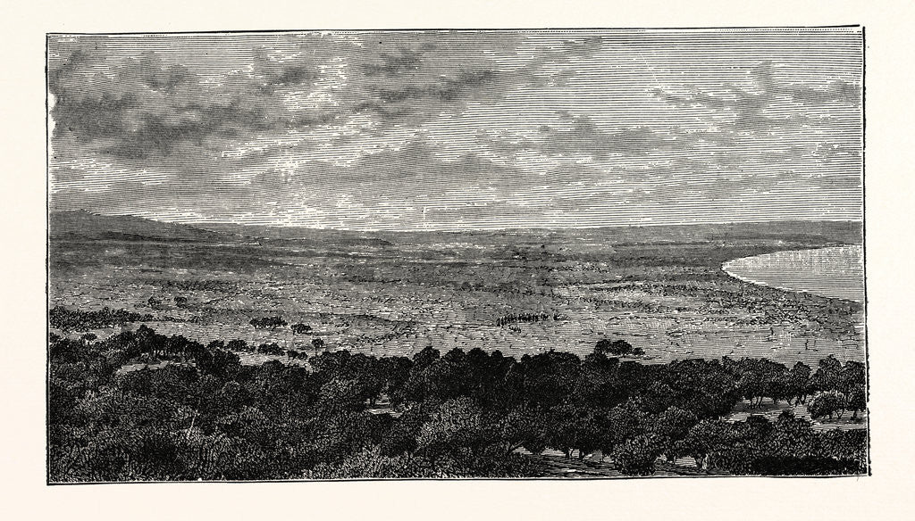 Detail of View In The Plain Of Latakia, In Syria by Anonymous