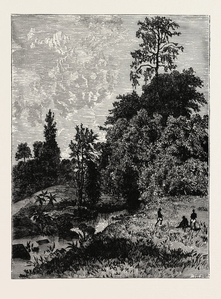 Detail of A View In Abyssinia by Anonymous