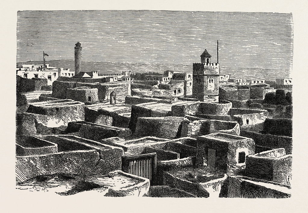 Detail of View Of Susa by Anonymous