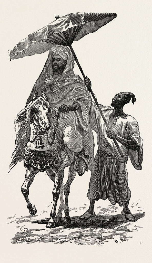 Detail of The Sultan Of Morocco by Anonymous