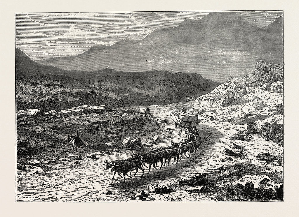 Detail of A Bullock Waggon On Its Way To The Diamond Fields, South Africa by Anonymous