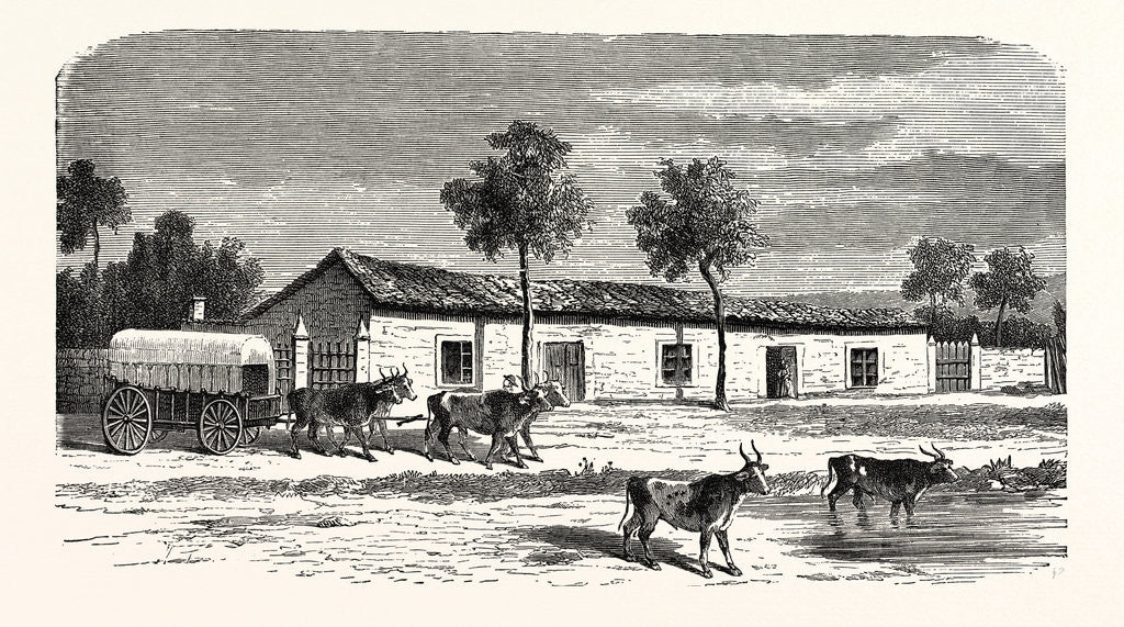 Detail of A Boer Farm, South Africa by Anonymous