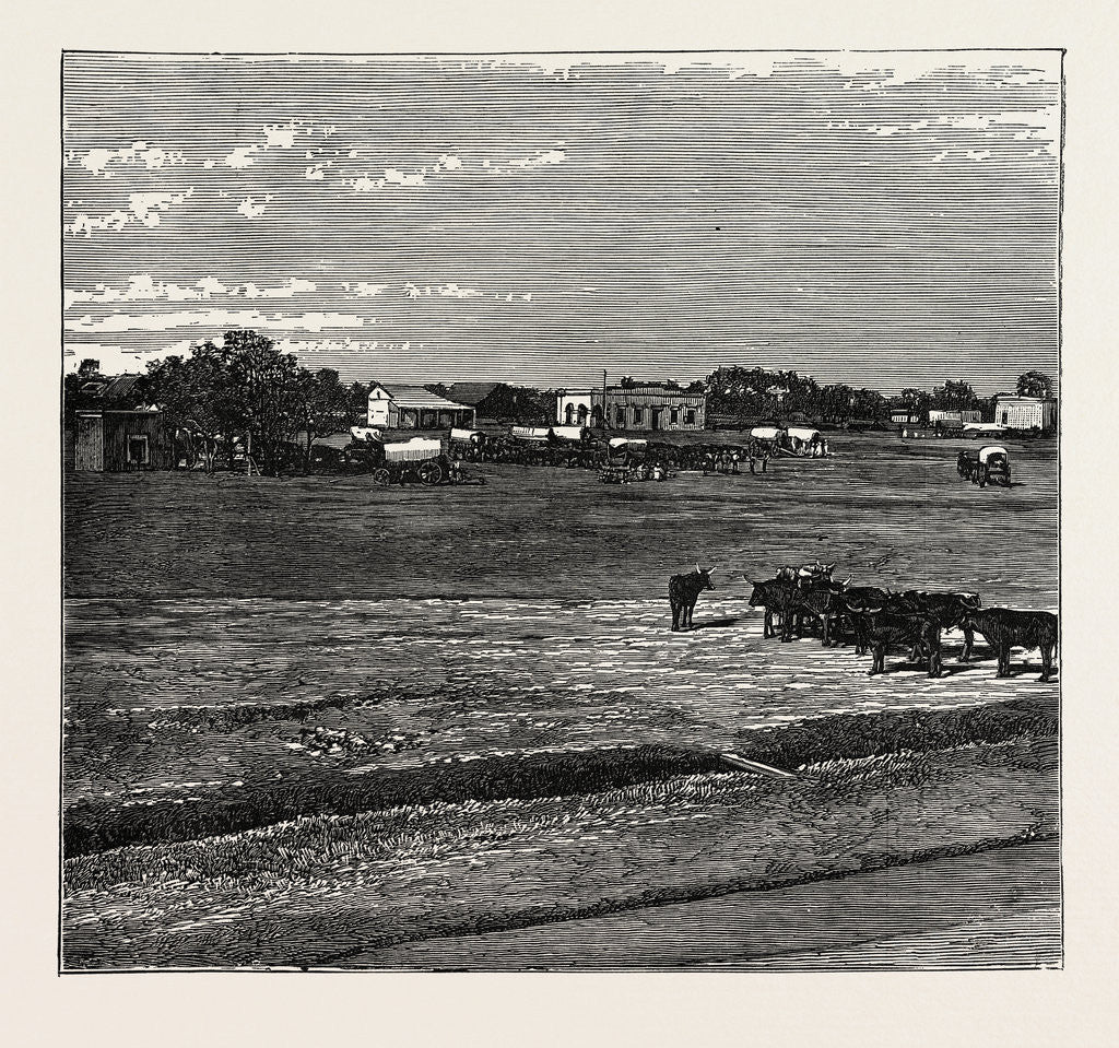 Detail of View Of Potchefstrom, In The Transvaal, South Africa by Anonymous