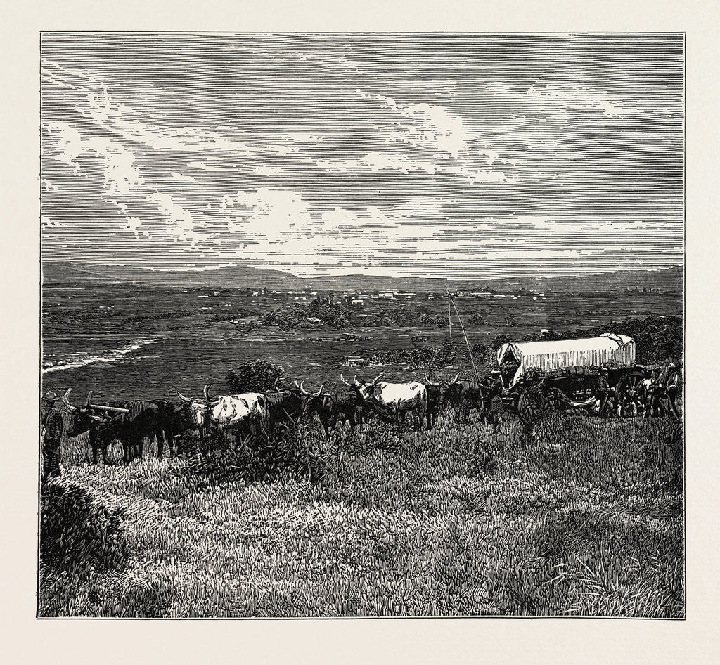 Detail of View Of Pretoria, The Capital Of The Transvaal by Anonymous