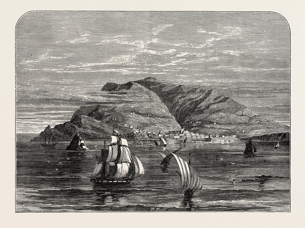 Detail of View Of Funchal, Madeira. by Anonymous