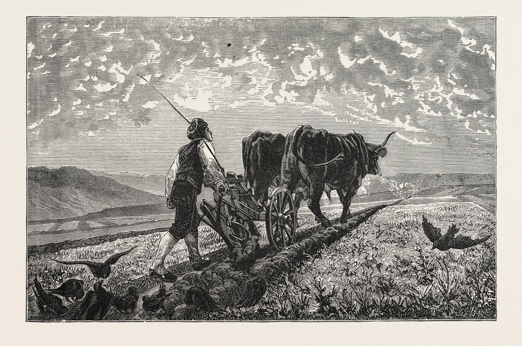 Detail of A French Agriculturist by Anonymous