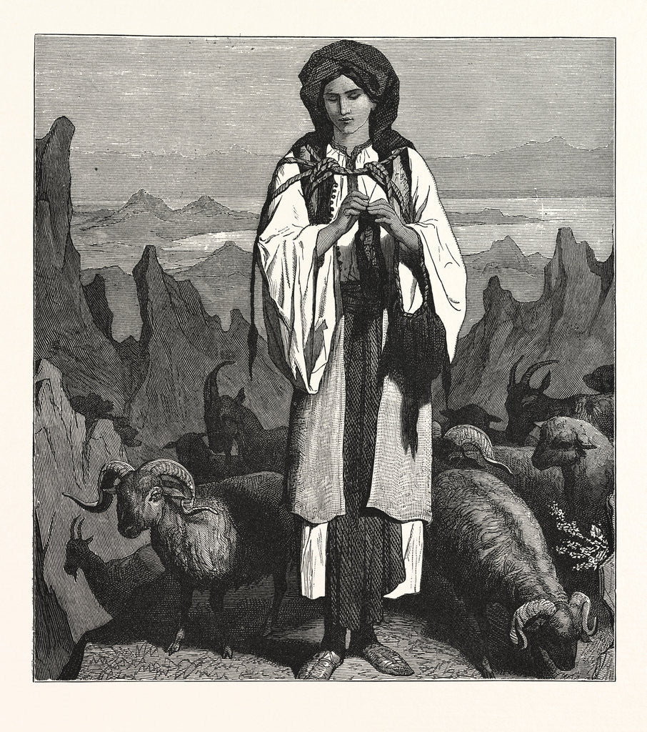Detail of Albanian Shepherdess, Albania by Anonymous