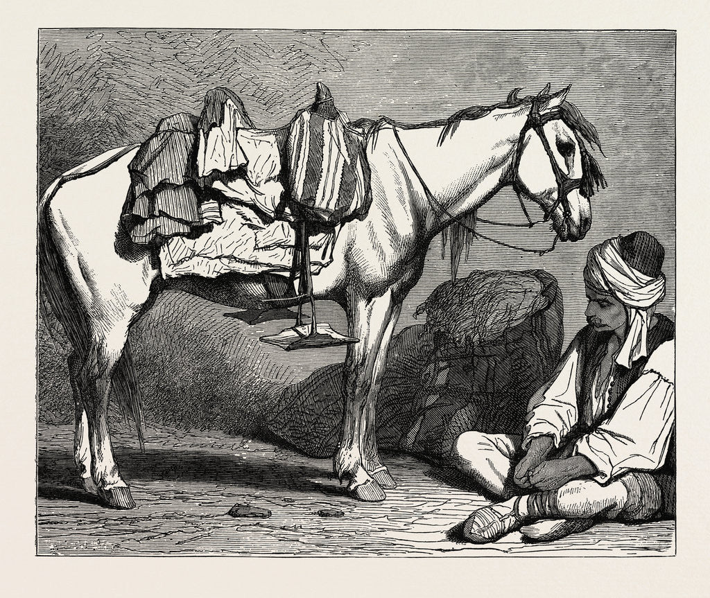 Detail of A Bosnian Peasant And His Horse, Bosnia. by Anonymous