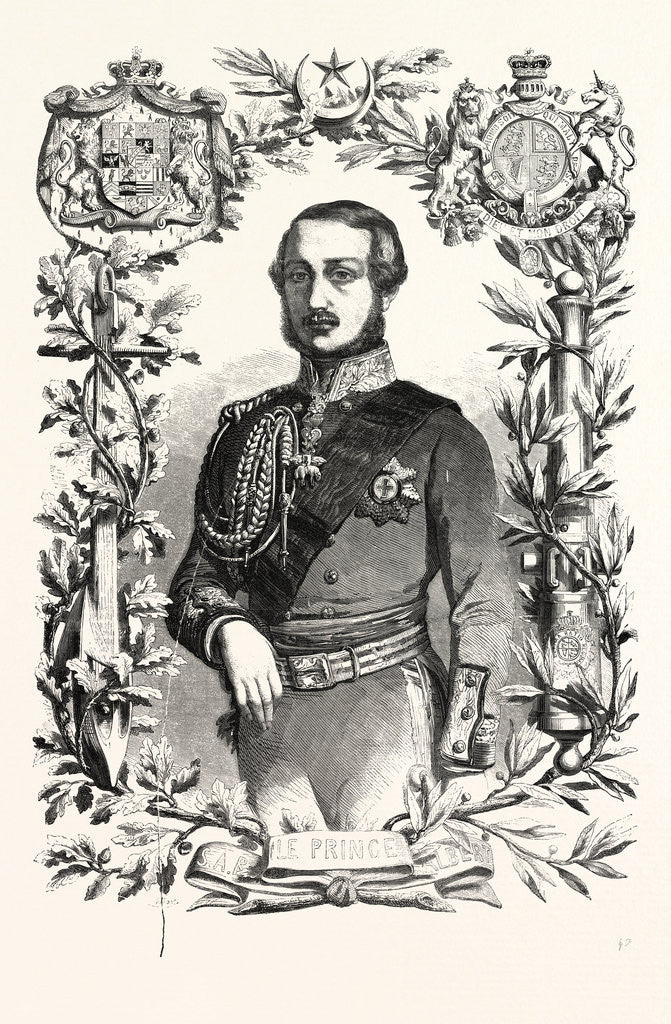 Detail of Prince Albert. The Prince Consort of Queen Victoria by Anonymous