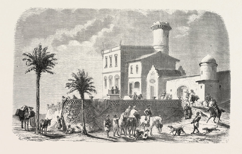 Detail of Ramle, Near Alexandria, Egypt by Anonymous