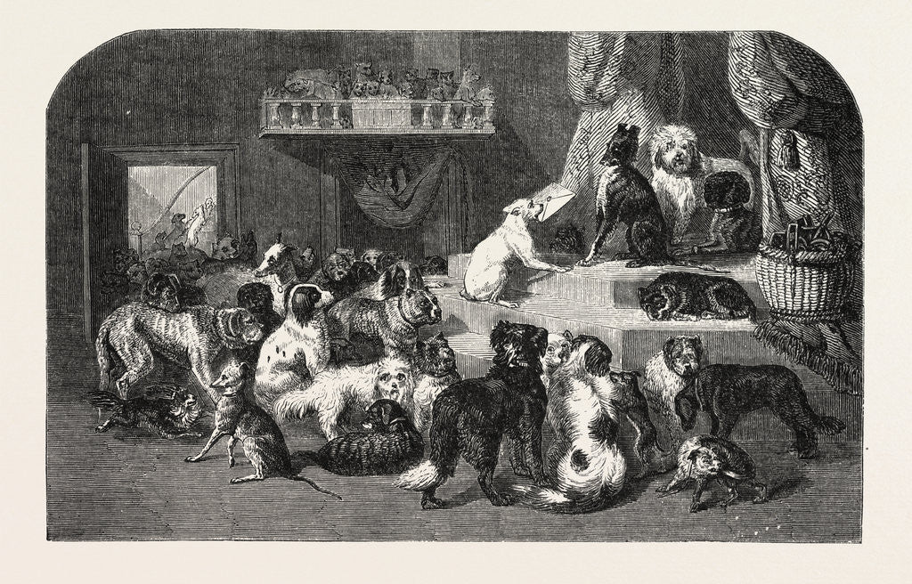 Detail of Petition by Dogs by Anonymous