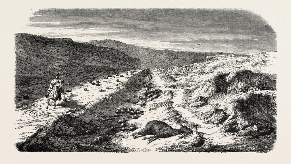 Detail of The Ravine, Balls, Before Sebastopol. The Crimean War, 1855 by Anonymous
