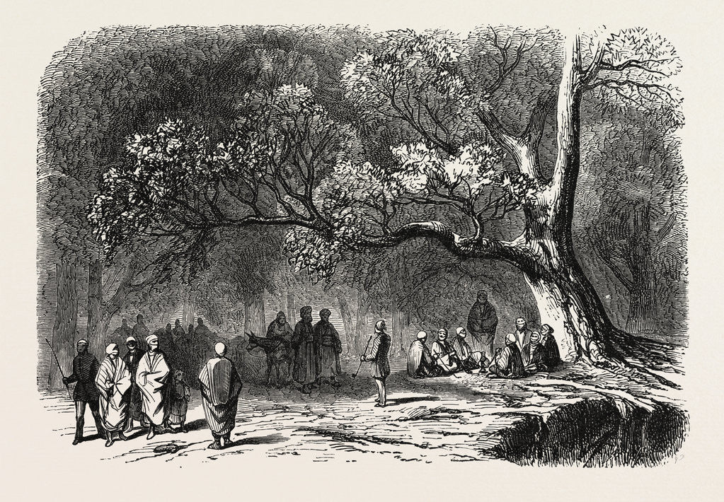 Detail of The Kief in the Islands of Princes, 1855 by Anonymous