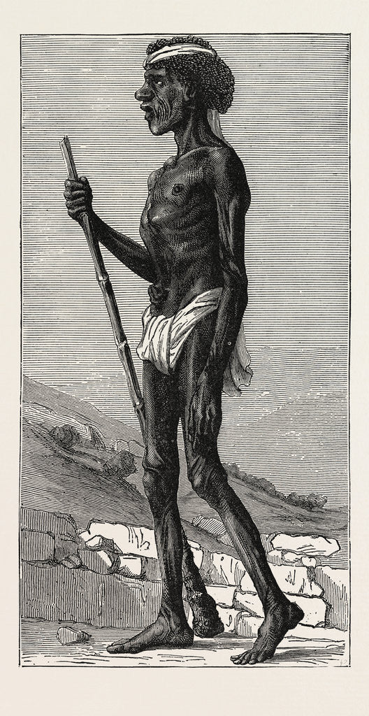 Detail of Djangal, Native of the Sirgouja by Anonymous