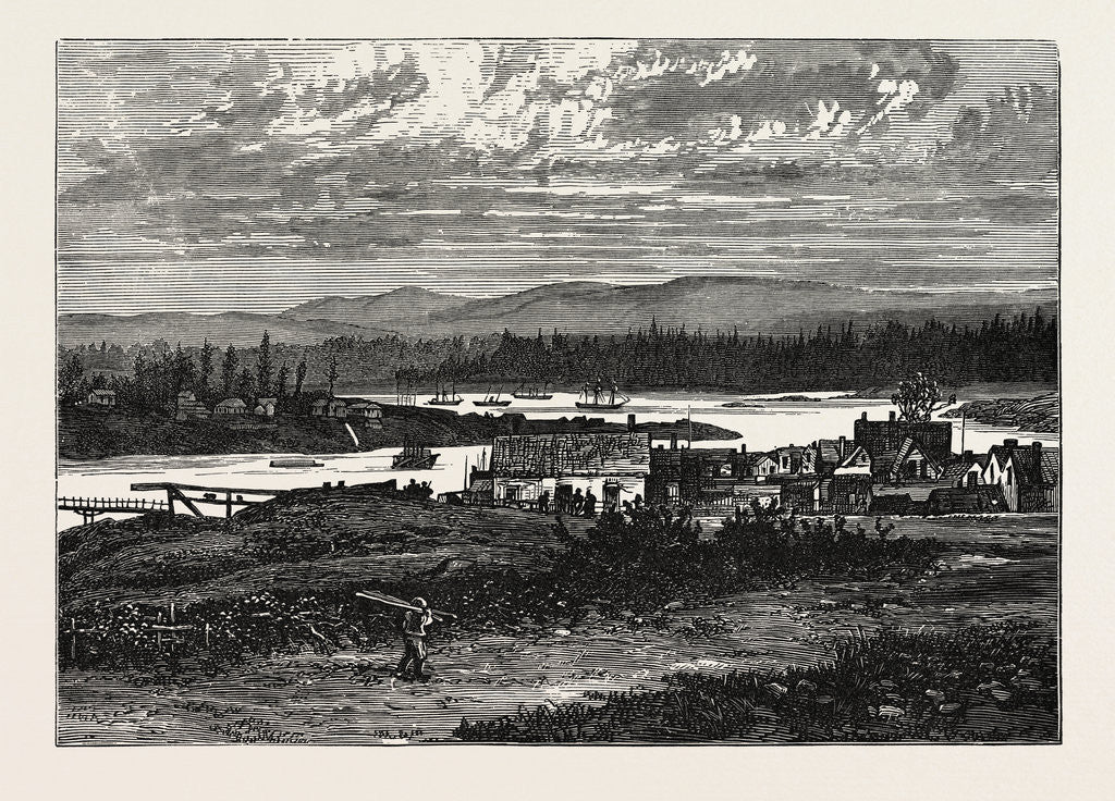 Detail of View of the Western Suburbs of Victoria, Vancouver Island by Anonymous
