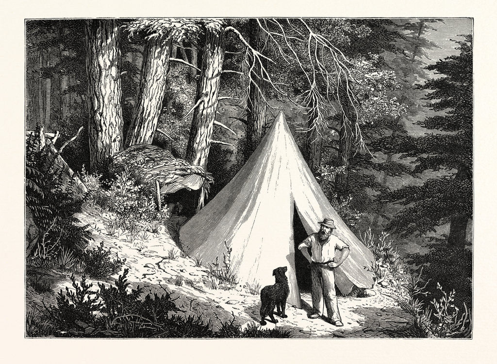 Detail of A Summer Encampment in a North Pacific Forest: Copper Mountain, Near Alberni, on the Western Shores of Vancouver Island by Anonymous