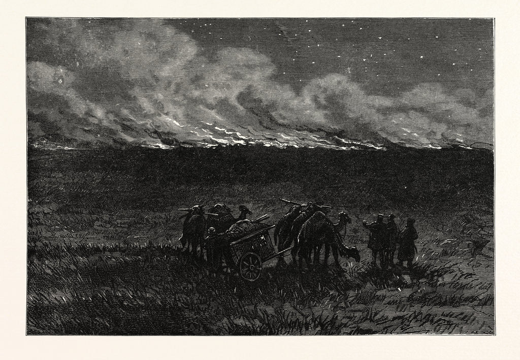 Detail of Fire on an Asiatic Steppe by Anonymous