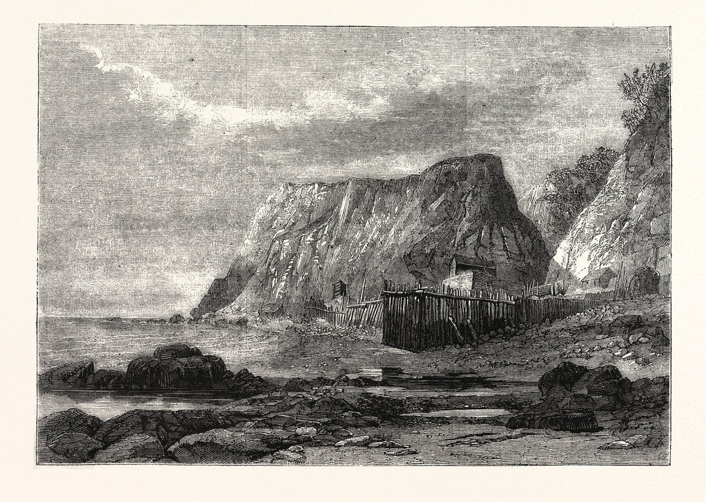 Detail of Bonchurch, Isle of Wight by Anonymous