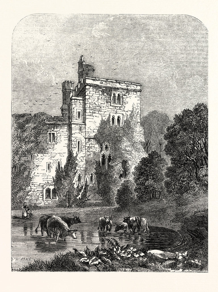 Detail of Wressel Castl by Anonymous