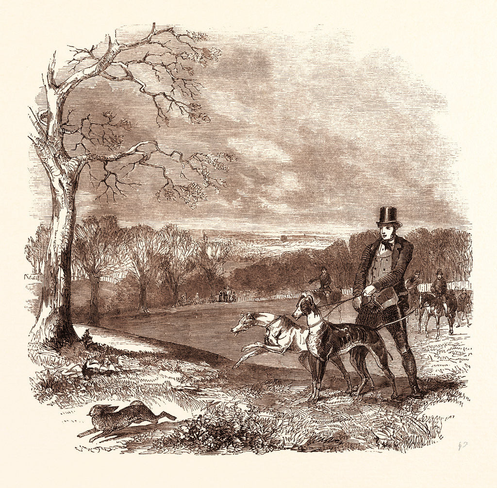 Detail of Coursing by Anonymous