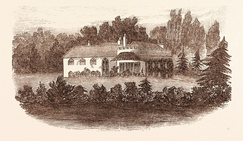 Detail of Woolbrook Glen, Sidmouth, Devon by Anonymous