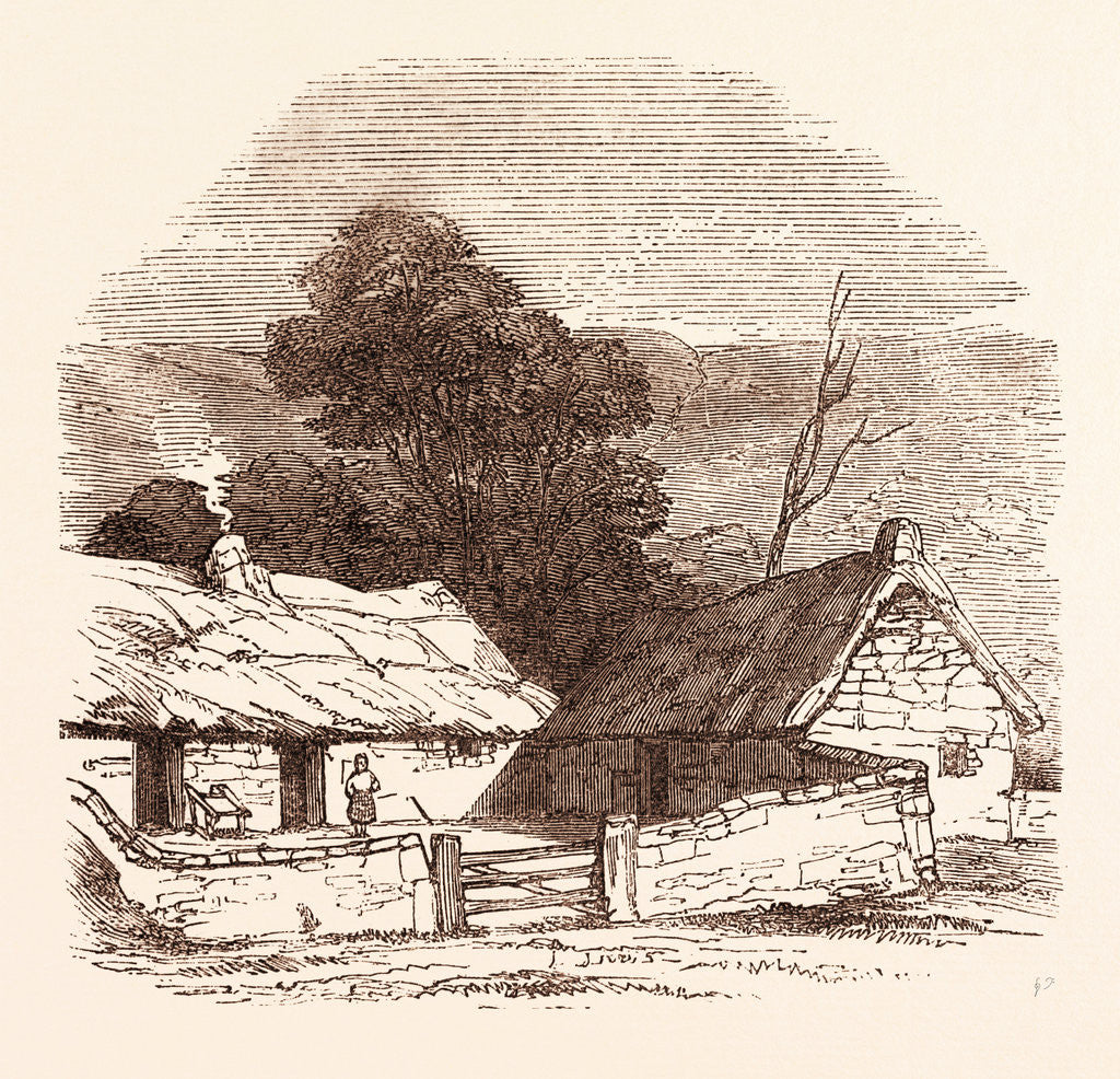 Detail of Birthplace of the Ettrick Shepherd, Selkirkshire by Anonymous