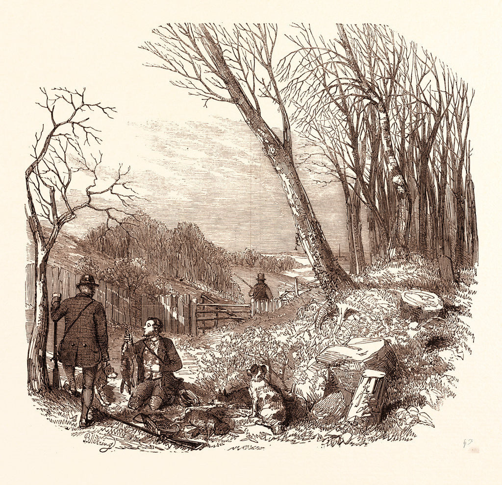 Detail of Rabbit Shooting, Rabbits by Anonymous