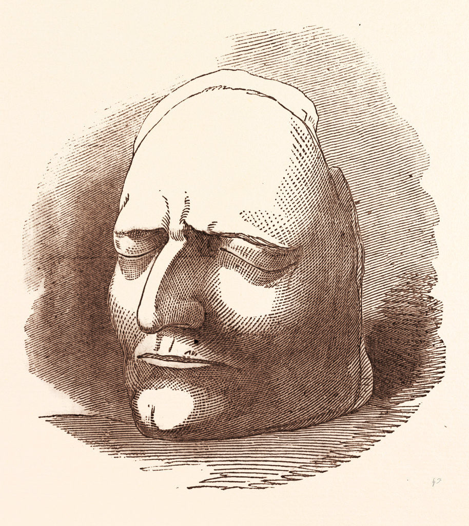 Detail of Posthumous Mask of Sir Isaac Newton by Anonymous