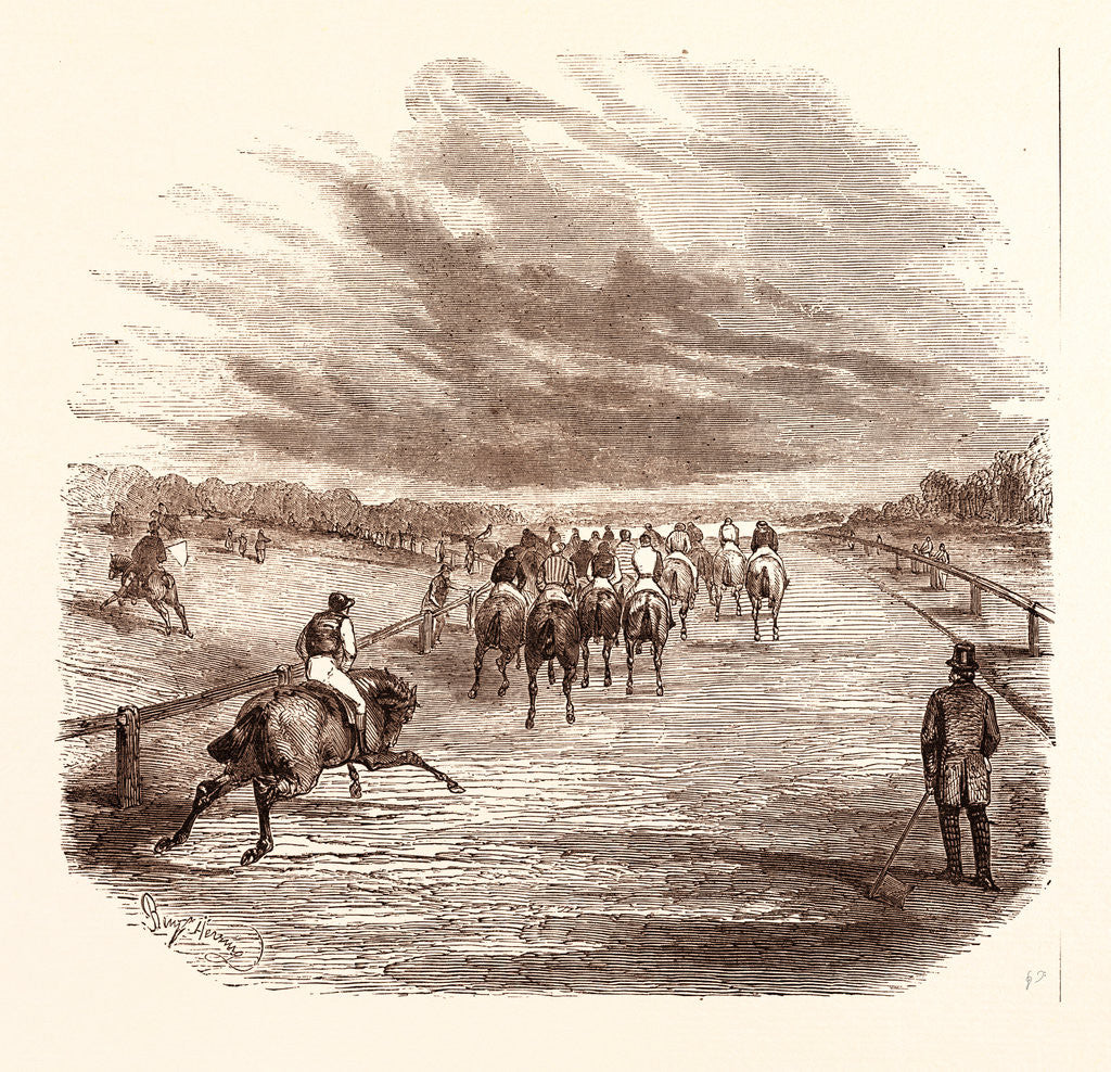 Detail of Thoroughbred by Anonymous