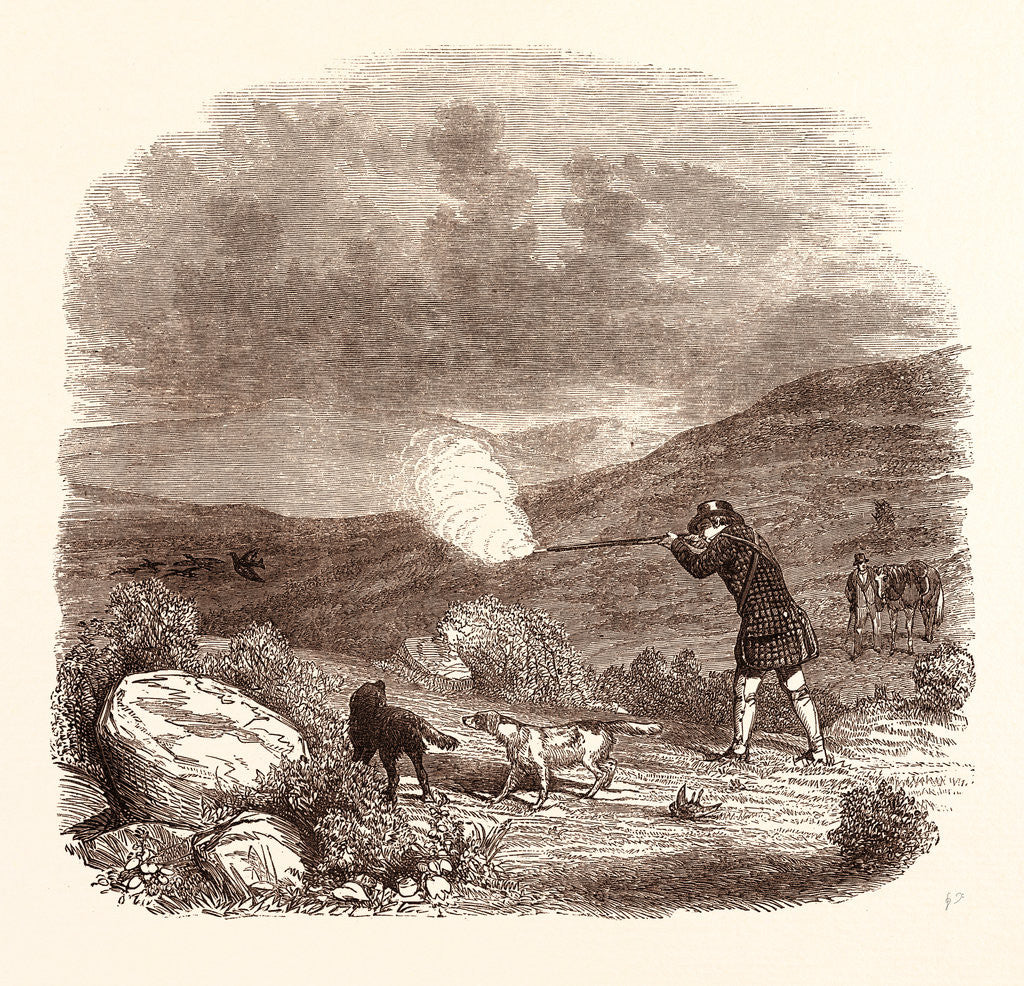 Detail of Grouse Shooting in August by Anonymous