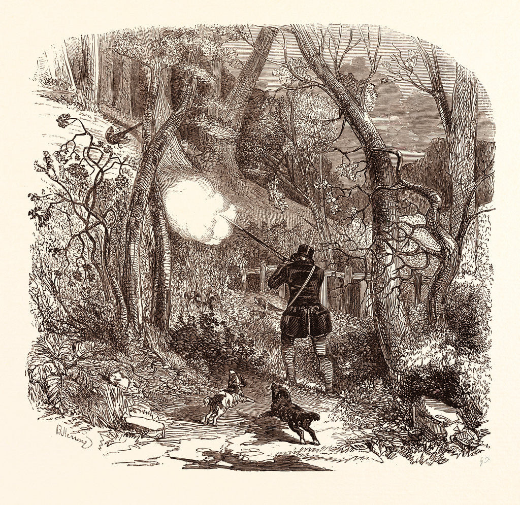 Detail of Pheasant Shooting in October by Anonymous