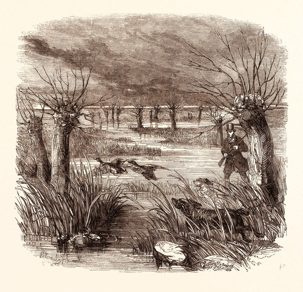 Detail of Wild Duck Shooting in December by Anonymous