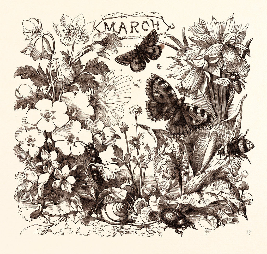 Detail of March by Anonymous