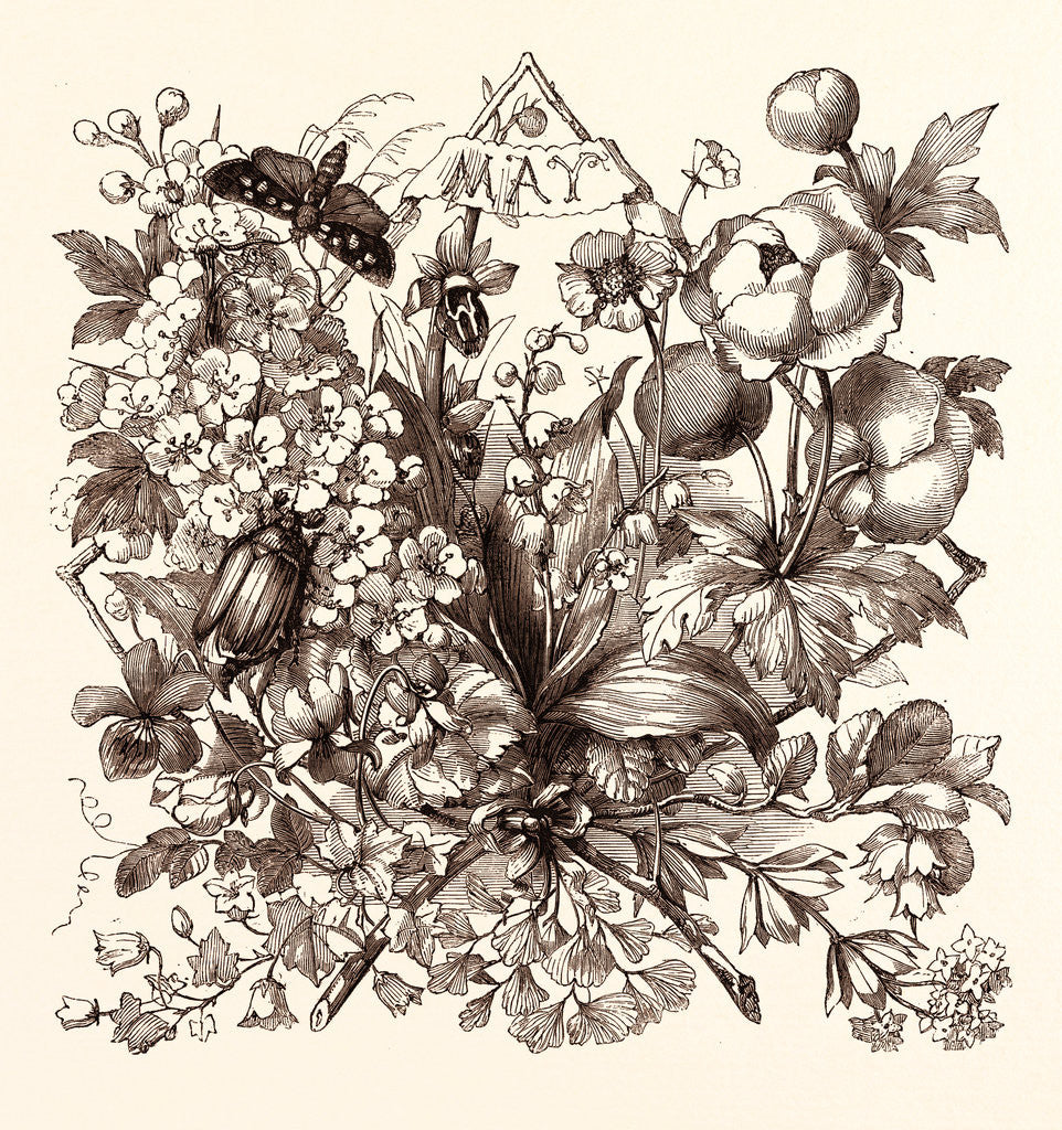 Detail of May by Anonymous