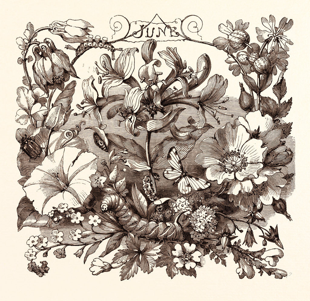 Detail of June by Anonymous