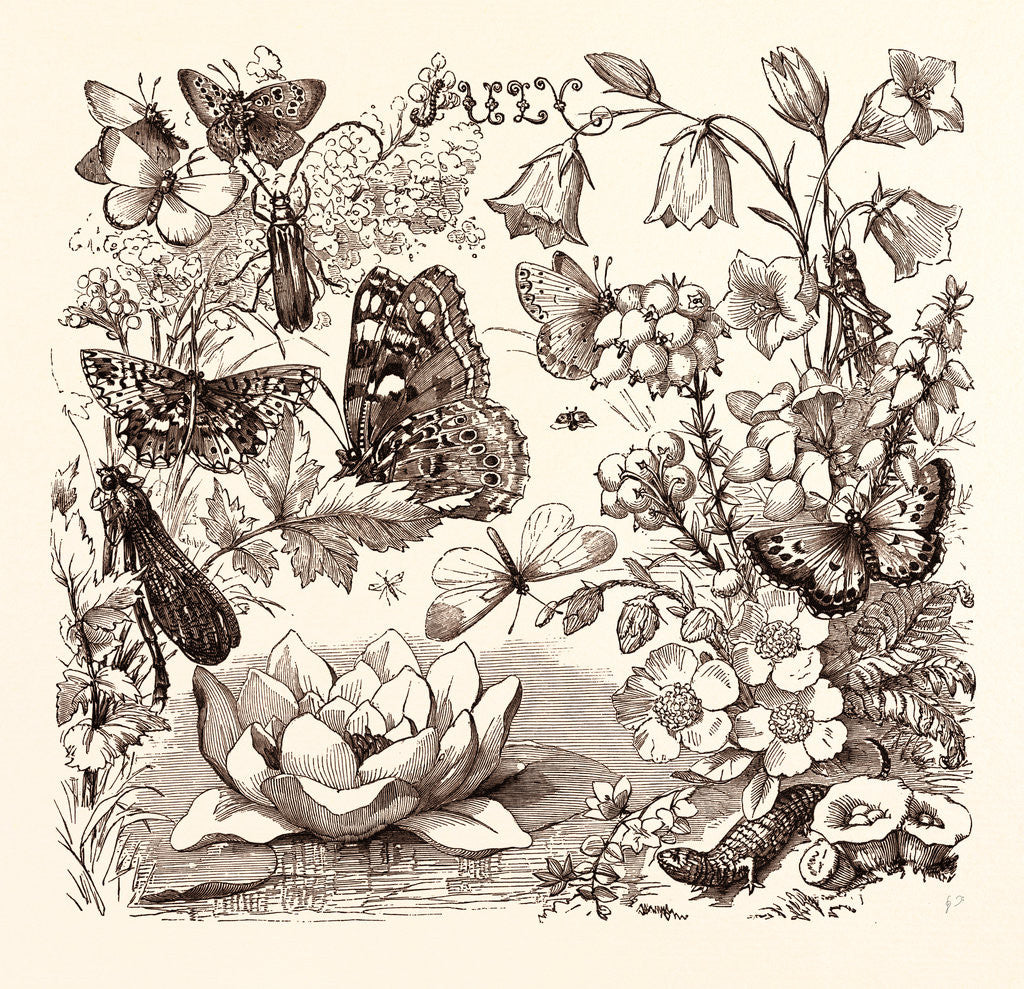 Detail of July by Anonymous