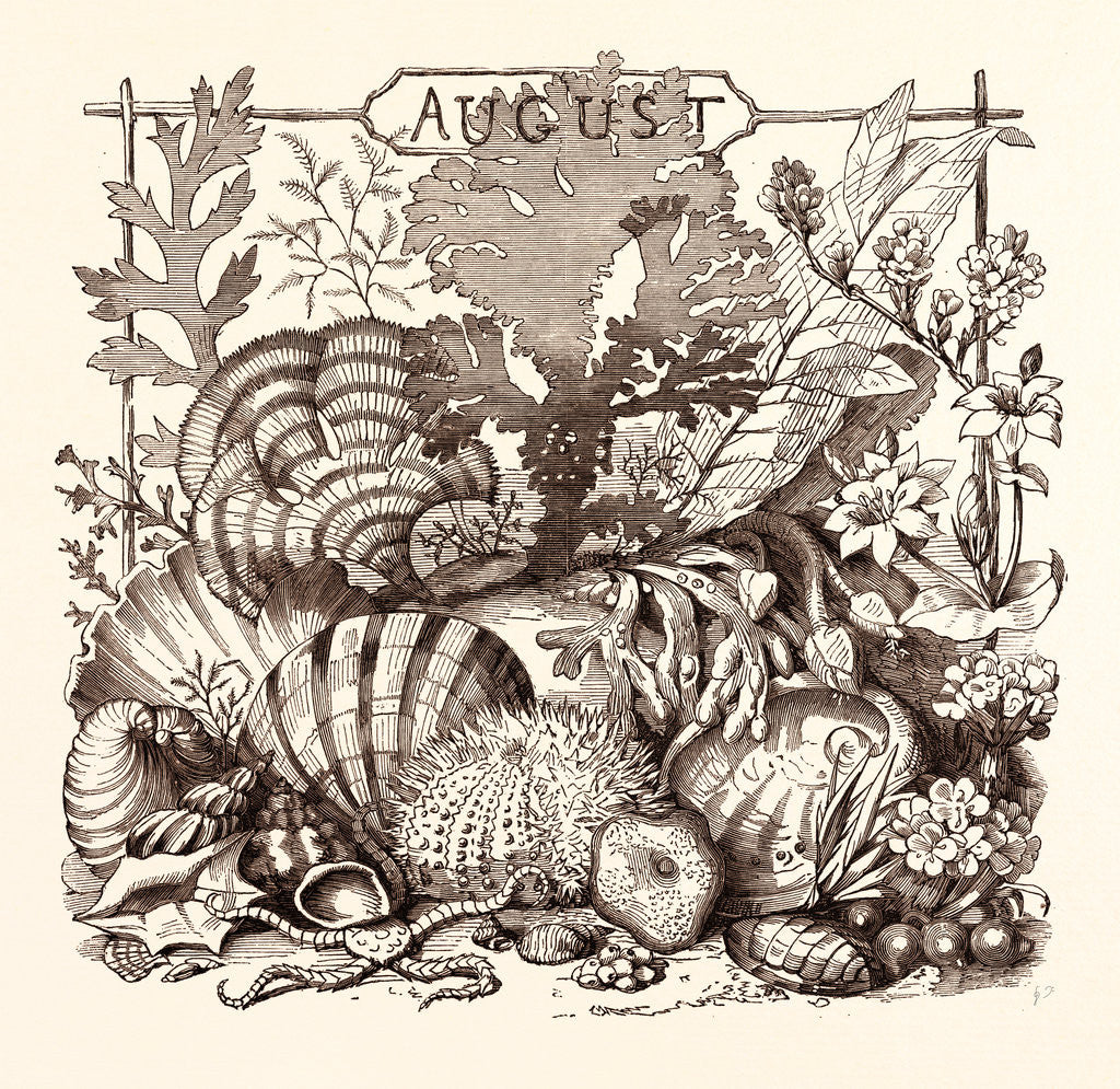 Detail of August by Anonymous