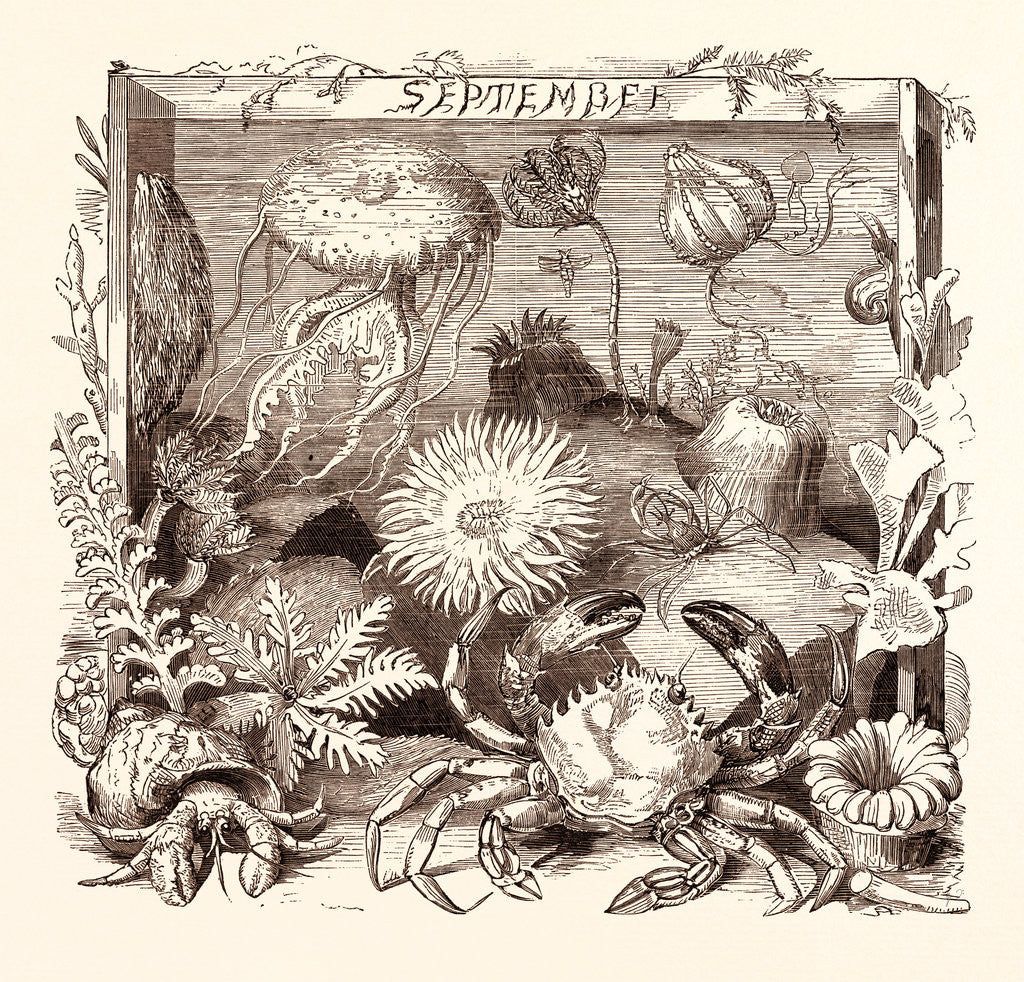 Detail of September by Anonymous