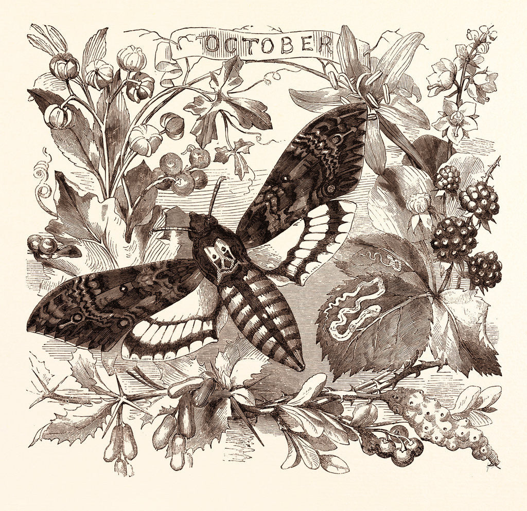 Detail of October by Anonymous