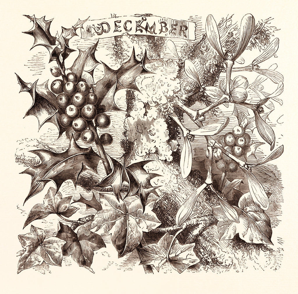 Detail of December by Anonymous
