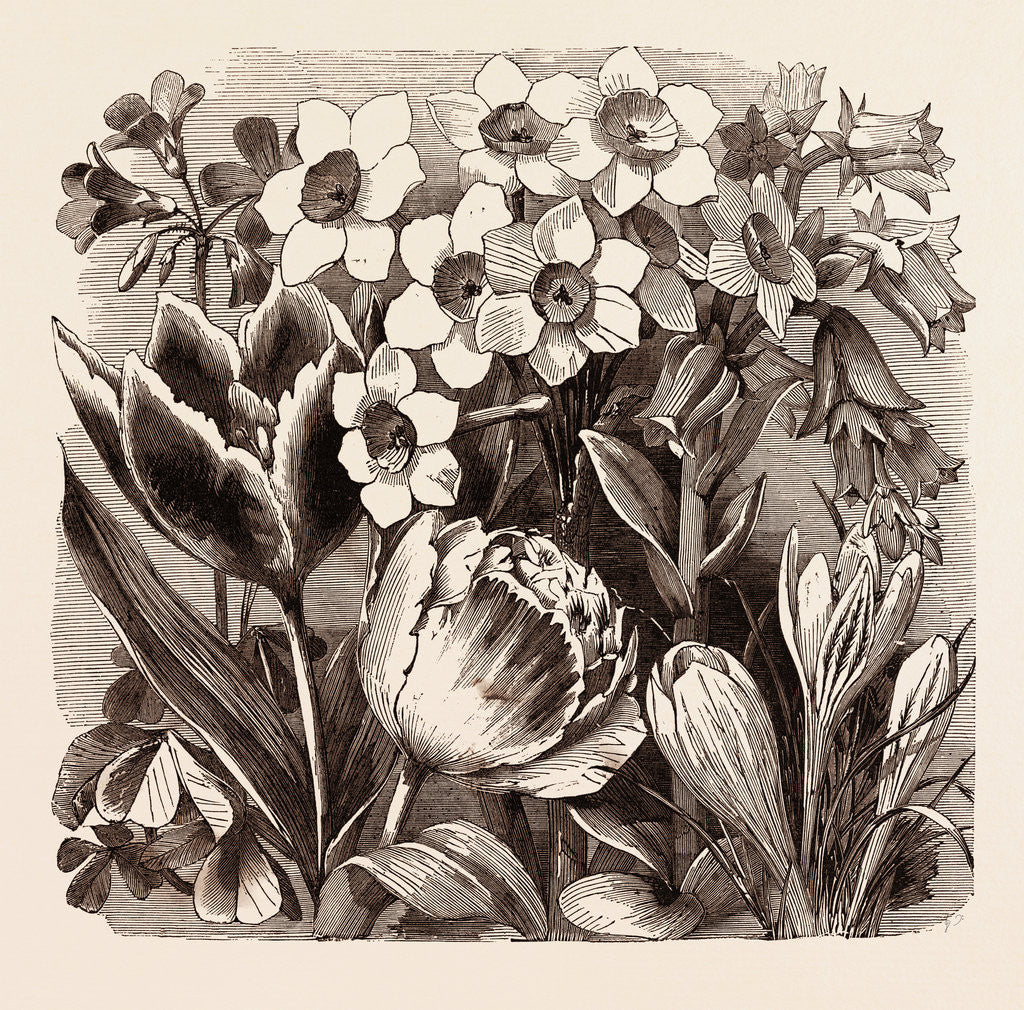 Detail of February by Anonymous
