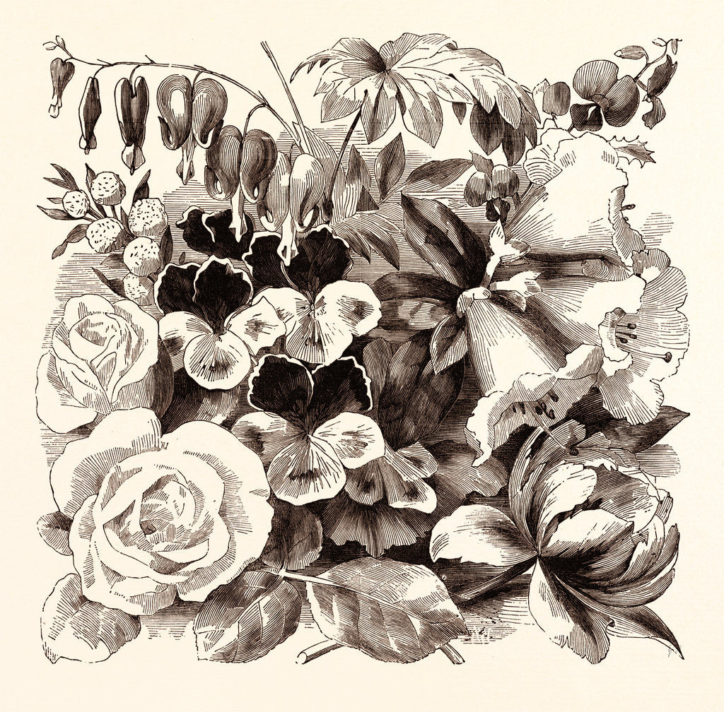 Detail of May by Anonymous