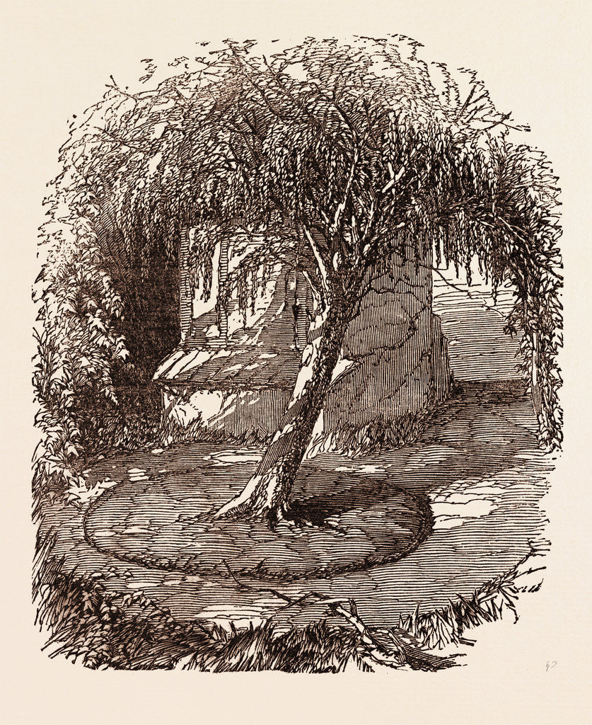 Detail of Garden at Waterloo, the Burial Place of the Marquis of Anglesey's Leg by Anonymous