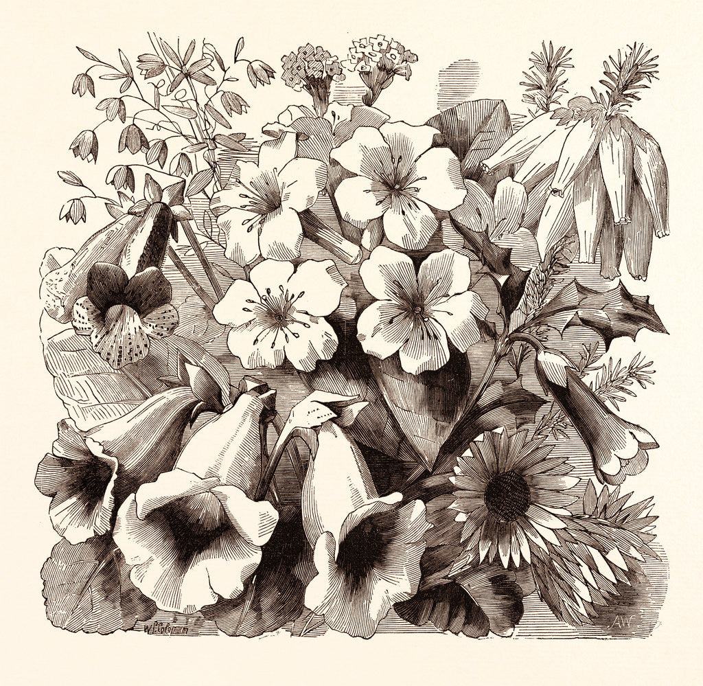 Detail of July by Anonymous