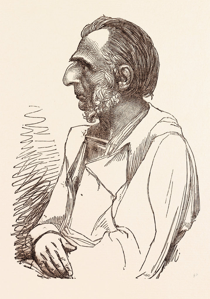 Detail of Lieutenant General Sir Charles Napier, the Hero of Scinde by Anonymous