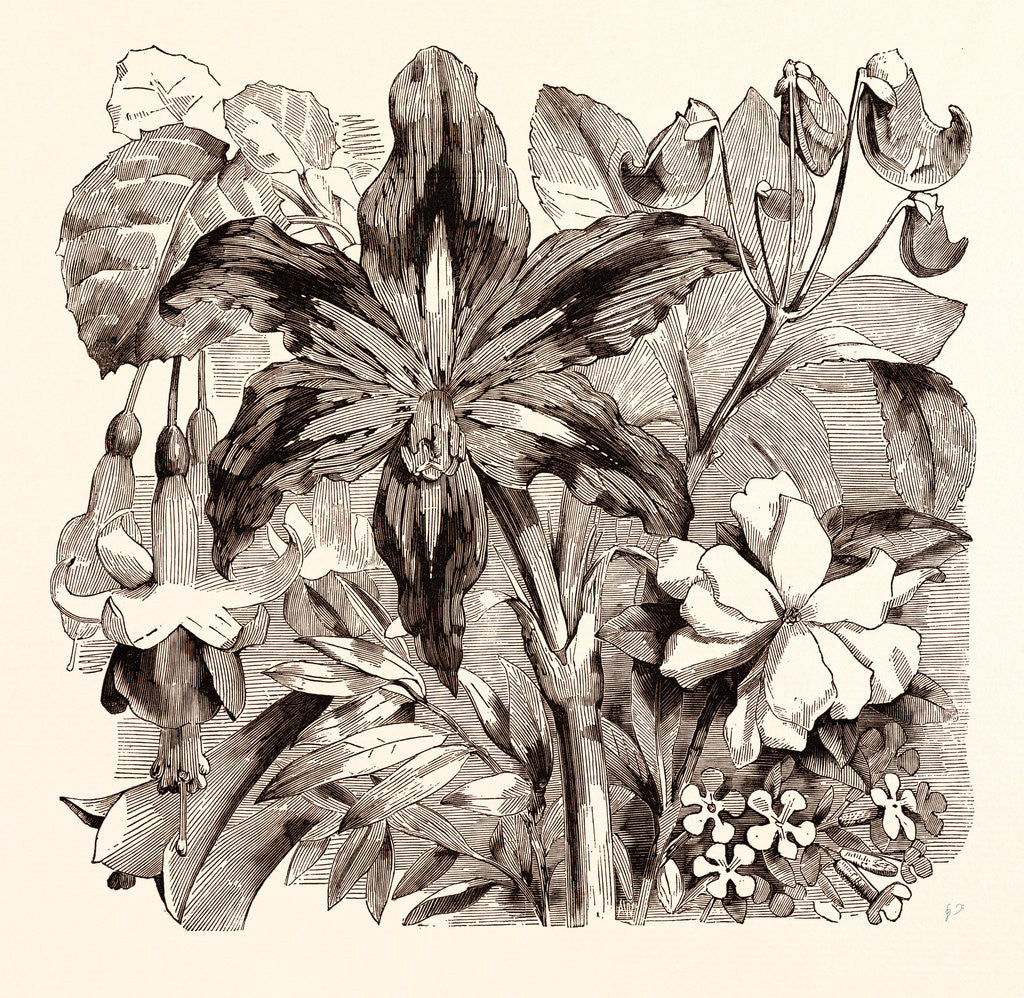 Detail of September by Anonymous